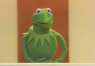 Kermit the Frog from the Muppets